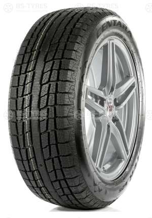 Centara Winter RX626 255/45 R20 105T