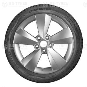 Ikon (Nokian Tyres) Character Snow 2 (Nordman RS2) 185/65 R15 92R