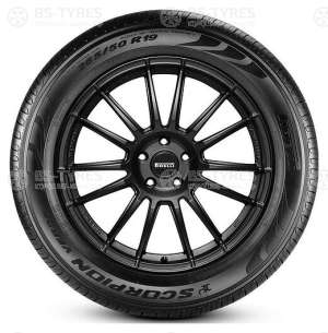 Scorpion Verde Seal Inside