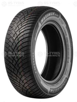 Doublestar DLA01 205/45 R17 88W